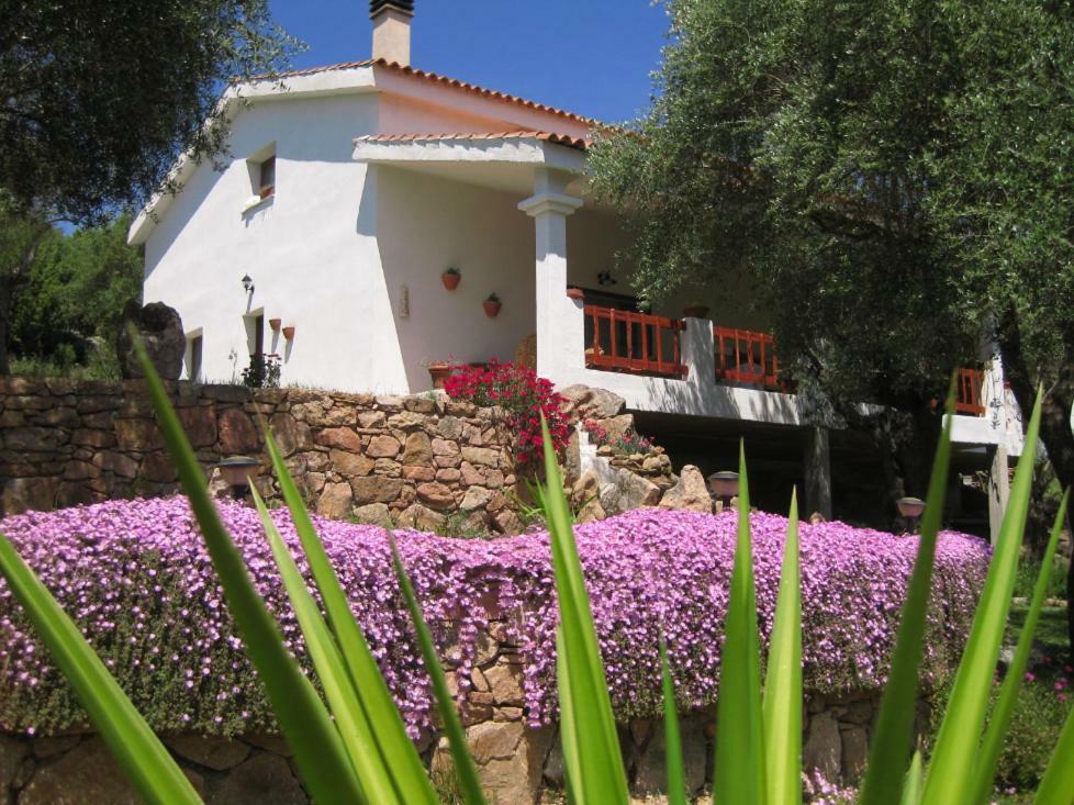 Maravilla Loiri Porto San Paolo Exterior foto